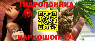 PSILOCYBIN Будённовск