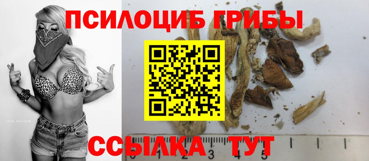 Кстово  Галлюциногенные грибы мицелий  Галлюциногенные грибы Psilocybe  Вход с VPN 